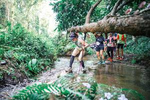 BIB: 
                            <button type="button" onclick="openModal(25477722)" class="btn btn-primary btn-sm float-right btn-popup" data-toggle="modal" data-target=".modal-high-quality">
                        <i class="fas fa-shopping-cart"></i> Add to Cart
                    </button>
                                            <button type="button" onclick="isThisMe(25477722, true)" class="btn btn-success btn-sm float-right btn-popup btn-isme hidden" data-toggle="tooltip" data-placement="bottom" title="นี่คือรูปของคุณใช่ไหม คลิกที่นี่เพื่อเอาเข้าอัลบั้ม">
                        <i class="fas fa-plus"></i> Add to album
                    </button>
                    <button type="button" onclick="isThisMe(25477722, false)" class="btn btn-warning btn-sm float-right btn-popup btn-isnotme hidden">
                        <i class="fas fa-ban"></i> Remove from album
                    </button>